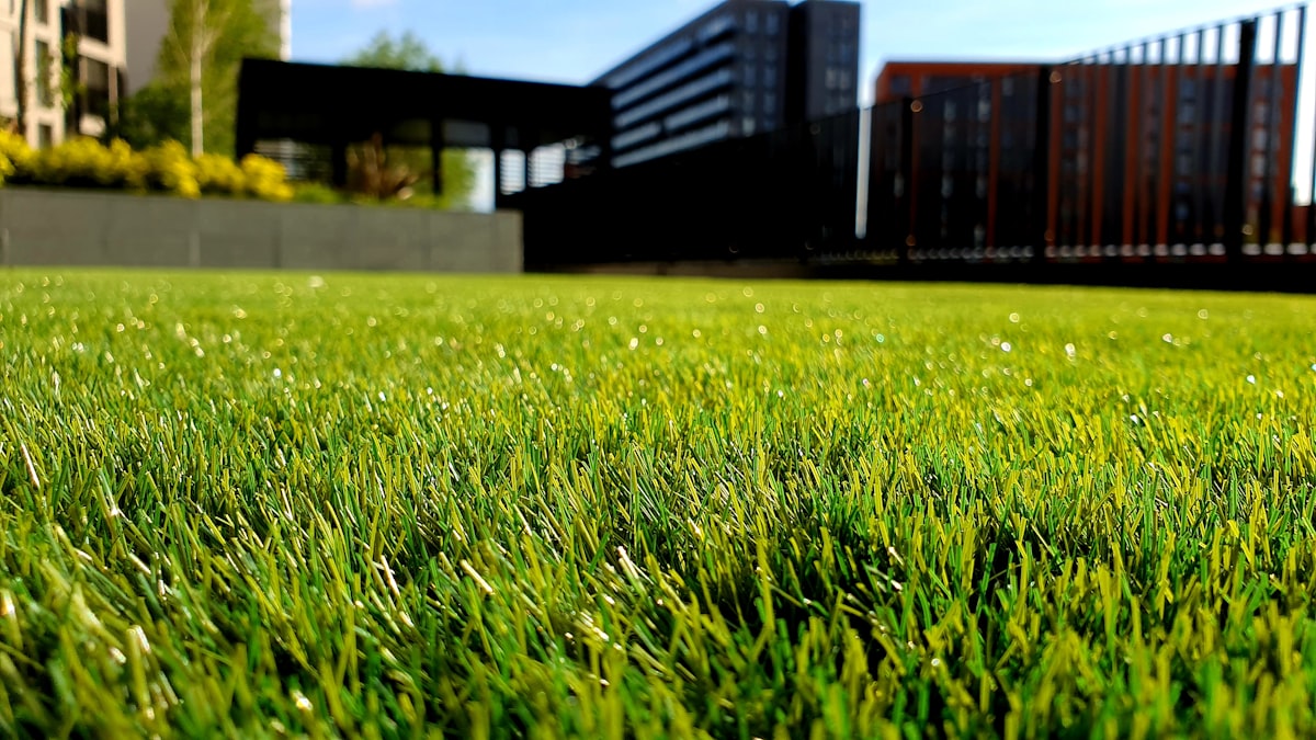 Landscaper maintaining a residential lawn and garden
